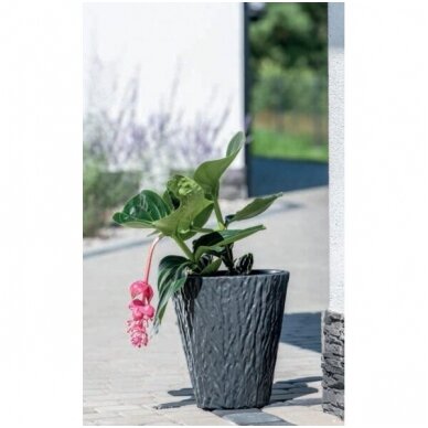 Vazonas kora 30cm apv.s/įd. žemas 2 Vazonas kora 30cm apv.s/įd. žemas 2
