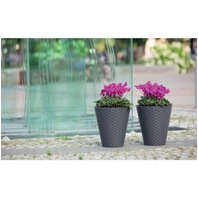 Vazonas rattana 30cm apv.s/įd. 1 Vazonas rattana 30cm apv.s/įd. 1