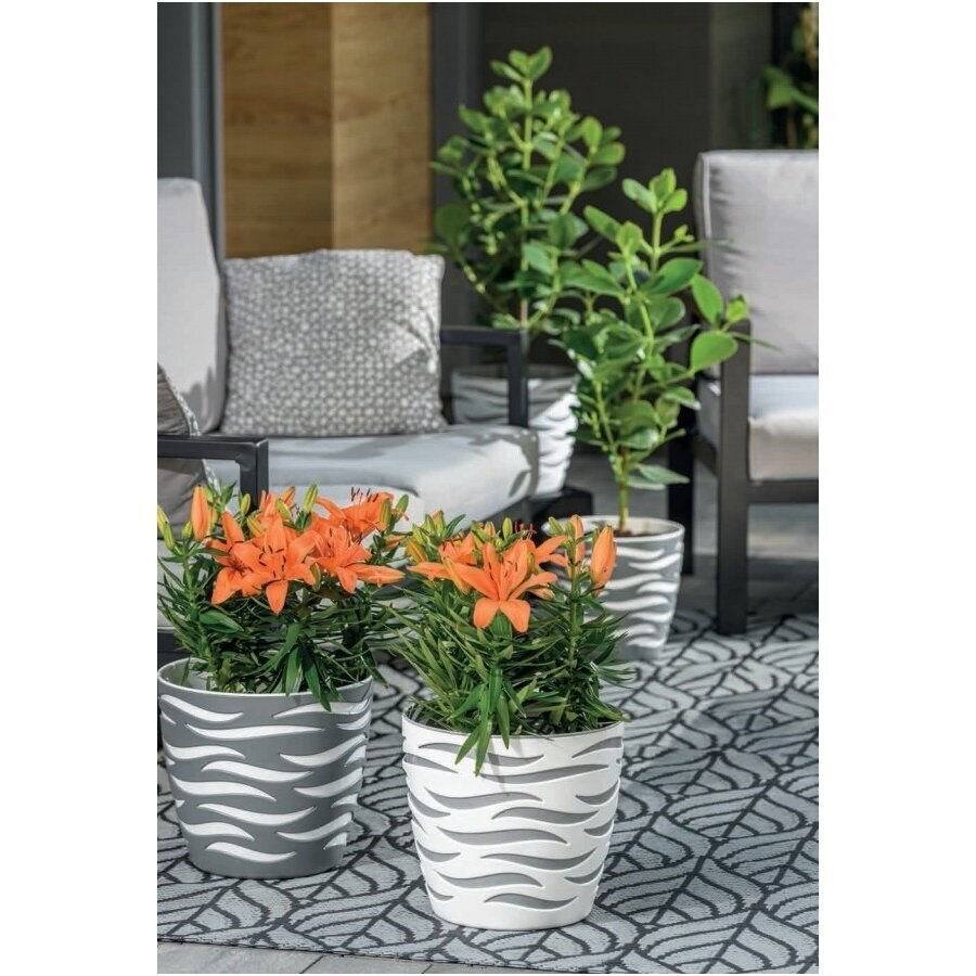 Vazonas sahara 28cm DUO s/p apv.s/įd 3 Vazonas sahara 28cm DUO s/p apv.s/įd 3